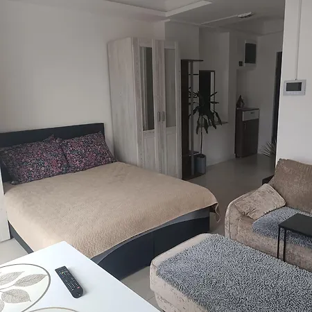 شقة Markovic Centar لوزنيكا